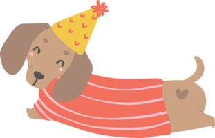 anniversaire chien, mignonne teckel saucisse chien avec des ballons , de fête et espiègle animal de compagnie dans coloré fête thème png