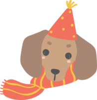 anniversaire chien, mignonne teckel saucisse chien avec des ballons , de fête et espiègle animal de compagnie dans coloré fête thème png