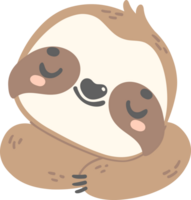 carino bambino bradipo addormentato viso cartone animato asilo illustrazione png