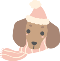 Cute Dachshund Christmas face, Pink Christmas Animal cartoon illustration png