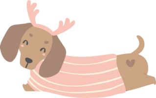 Cute Dachshund Christmas, Pink Christmas Animal cartoon illustration png