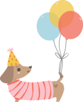 Geburtstag Hund, süß Dackel Würstchen Hund mit Luftballons , festlich und spielerisch Haustier im bunt Party Thema png