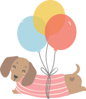 anniversaire chien, mignonne teckel saucisse chien avec des ballons , de fête et espiègle animal de compagnie dans coloré fête thème png