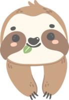 Cute Baby Sloth happy face cartoon nursery illustration png