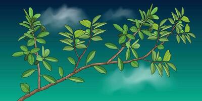 green leaves vector for background design.