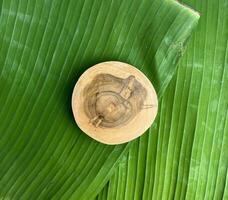 Round wooden coaster platform board isolated on top of green textured banana leaves background, wallpaper, or backdrop. Tatakan kayu, daun pisang. Empty copy space. photo