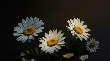 ai generativo hermosa margarita flor o Bellis perennis yo, o compositae floreciente en el parque durante luz de sol foto