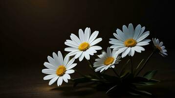 ai generativo hermosa margarita flor o Bellis perennis yo, o compositae floreciente en el parque durante luz de sol foto