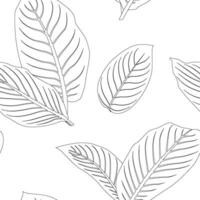 Diffenbachia leaves pattern line art for decorate your designs with tropical illustration isolated on white background vector