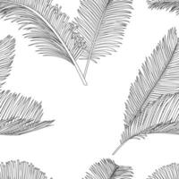 Sago palm leaves pattern line art for decorate your designs with tropical illustration isolated on white background vector