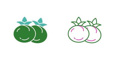 Tomato Vector Icon