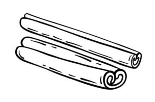 Cinnamon stick. Vector illustration in doodle style