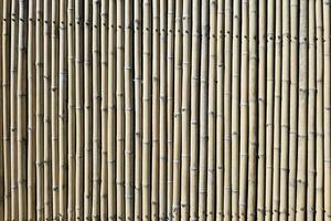 Close up Bamboo Stick Wall Texture Background. photo