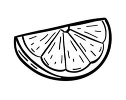 A piece of lime. Vector illustration in doodle style