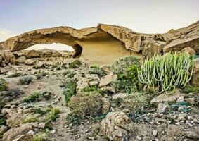 a rock formation with cactus plants and rocks photo