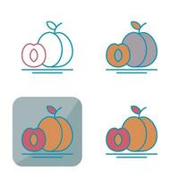 Apricot Vector Icon