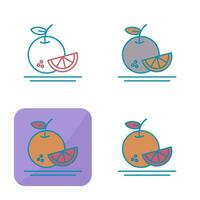 Orange Vector Icon