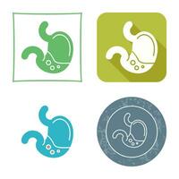 Stomach Vector Icon