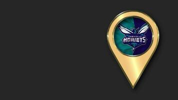 Charlotte Hornets Gold Location Icon Flag Seamless Looped Waving, Space on Left Side for Design or Information, 3D Rendering video