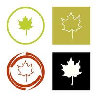 Autumn Leaf Vector Icon