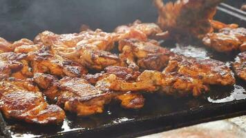 Rindfleisch und Hähnchen Steaks auf das Grill mit Flammen. video