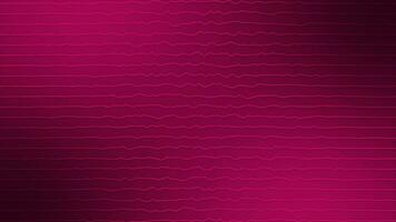 Abstract Magenta red color horizontal wiggly lines moving on black background video