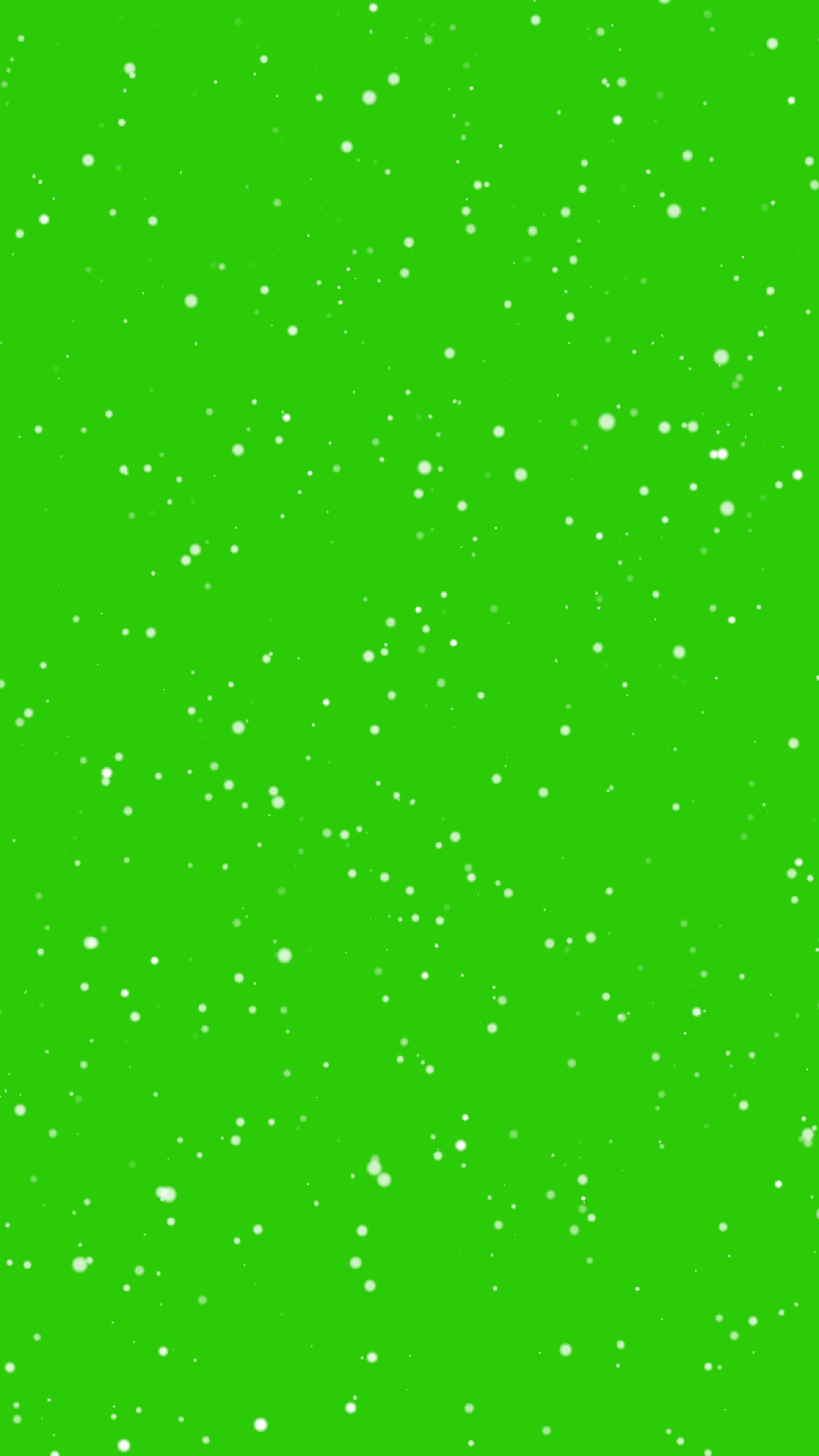 Snow flakes overlay green screen. Winter, slowly falling snow effect
