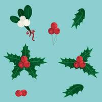 Beautiful Christmas collection with holly and mistletoe vector