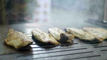 horneando y asado pescado en parilla parrilla. video