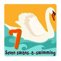 Seven swans-a-swimming. Twelve days of Christmas vector