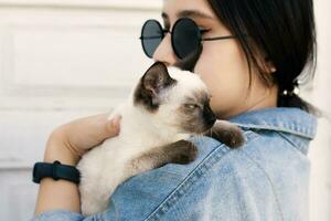 Young attractive woman hugging pussy cat in hands. Cute and glamorous girl in trendy sunglasses posing with her Siamese cat photo