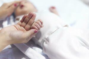newborn baby boy hands photo