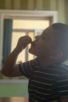 A little boy eating strawberries. Summer food. A young kid eats a yummy strawberry in hot summer day photo