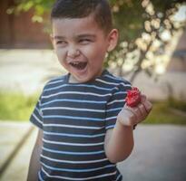 A little boy eating strawberries. Summer food. A young kid eats a yummy strawberry in hot summer day photo