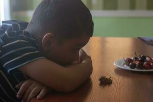 A little boy eating strawberries. Summer food. A young kid eats a yummy strawberry in hot summer day photo