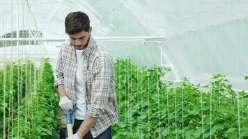 Guy worker in a greenhouse smiling directly at the camera and thumbs up video