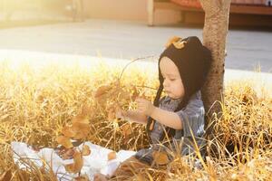 retrato de 2-3 años antiguo niño en otoño jardín foto