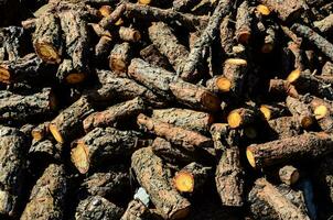 a pile of logs that are being cut up photo