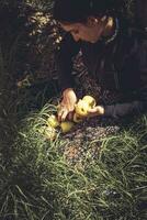 otoño retrato. retrato de hermosa Medio este mujer a manzana jardín. joven hembra posando a el naturaleza con recién escogido otoño manzana frutas manzana mujer foto