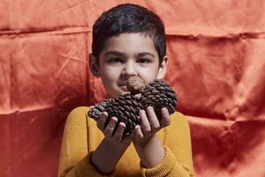 un joven chico participación pino conos foto