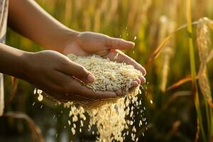 farmer hands harvesting rices tree at rice farm bokeh style background with Generative AI photo