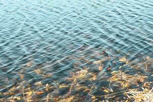 river surface texture, waves shining in the sun. photo