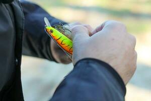 The fisherman removes the caught pike fish from the hook. photo