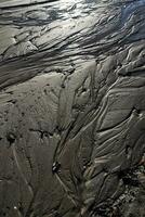 The bottom of the river after low tide photo