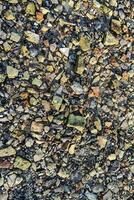 The bottom of the river after low tide, flooded remains of houses, bricks, dishes photo