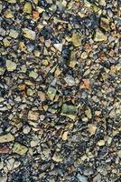 The bottom of the river after low tide, flooded remains of houses, bricks, dishes photo