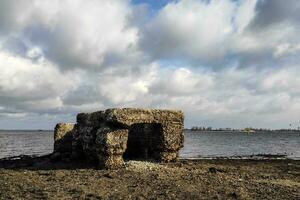 The bottom of the river after low tide, flooded remains of houses and bridges photo