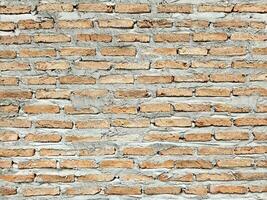 New Brick Wall Texture for Background. photo