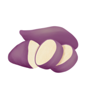 sweet potato illustration on png transparant