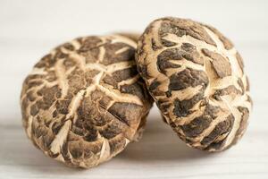 Dried shiitake mushroom isolated on white background. photo